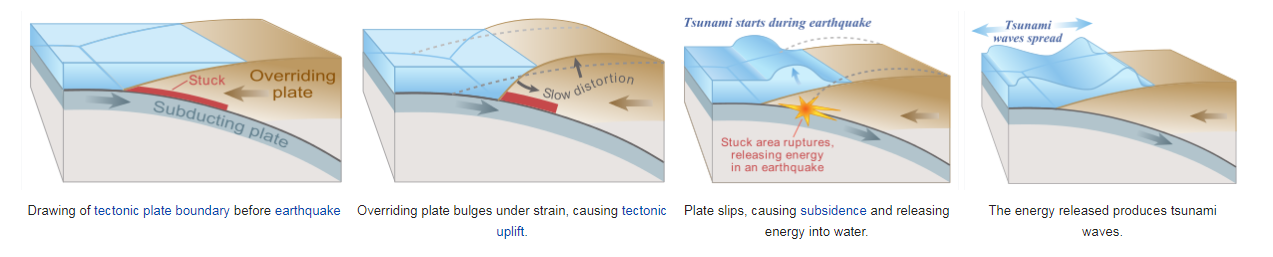 Tectonic 1.20 1. ЦУНАМИ. Tectonic earthquakes. Earthquakes and Tectonic Plates. Tectonic Plates Tsunami.