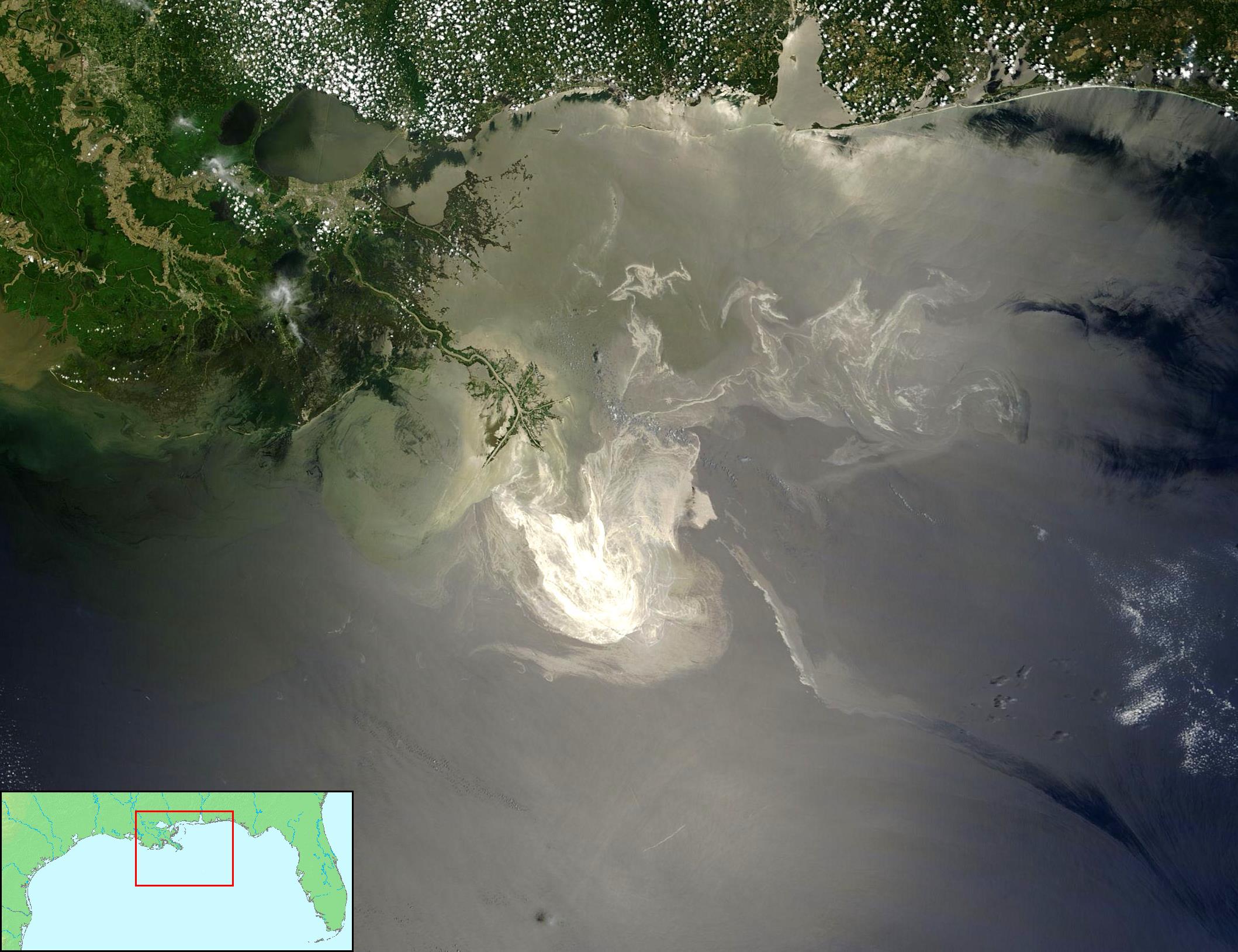 A blanket of oil: the role of bacteria in cleaning up after Deepwater Horizon
