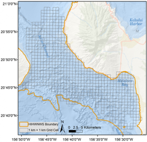 Total sampled survey area