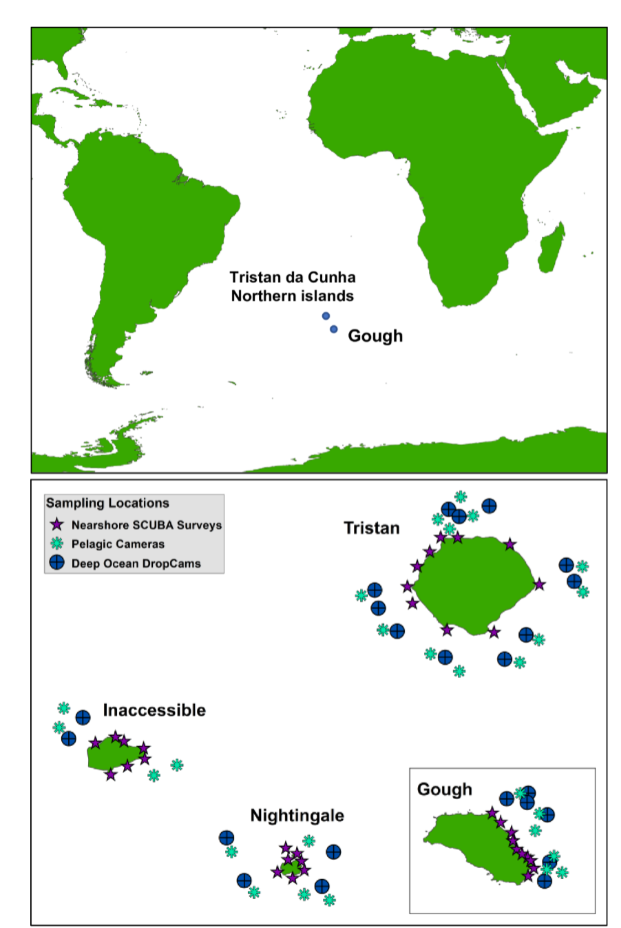 Hope in isolation: four small islands are defying current threats to ocean health