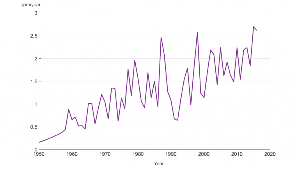 reduction-in-deforestation-influencing-atmospheric-co2-oceanbites