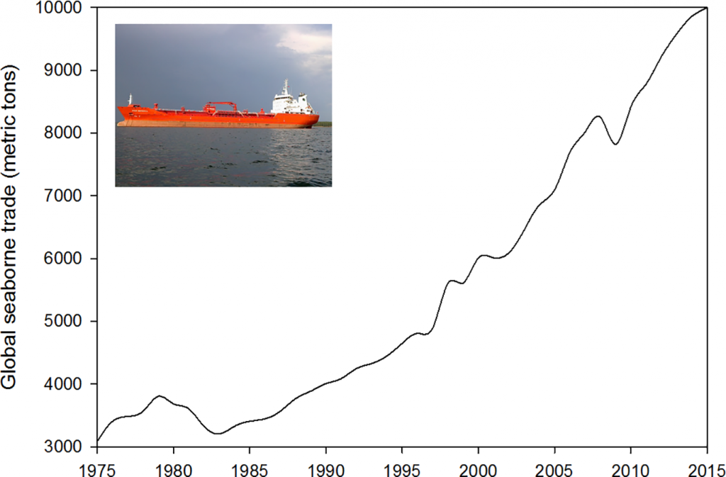 Rat infestations: how rats affect the ocean – oceanbites