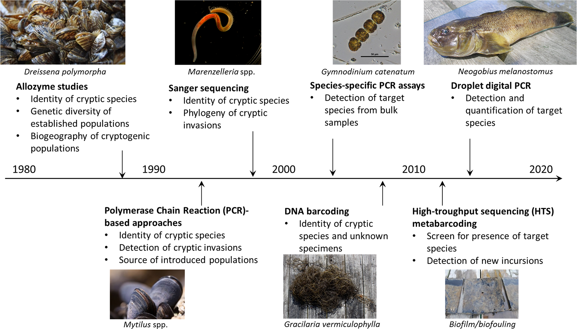 history of marine biology wikipedia