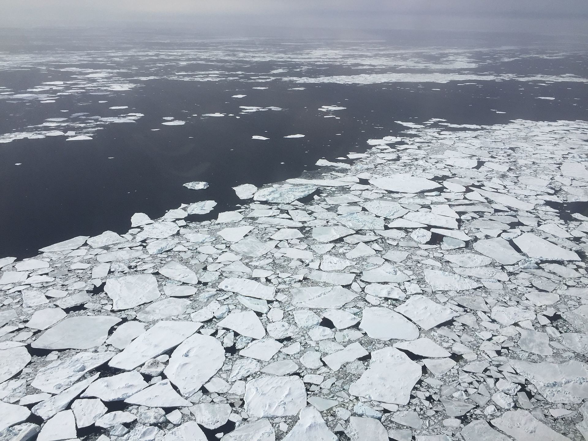 Key Role of Sea Ice in Glacial Cycles oceanbites