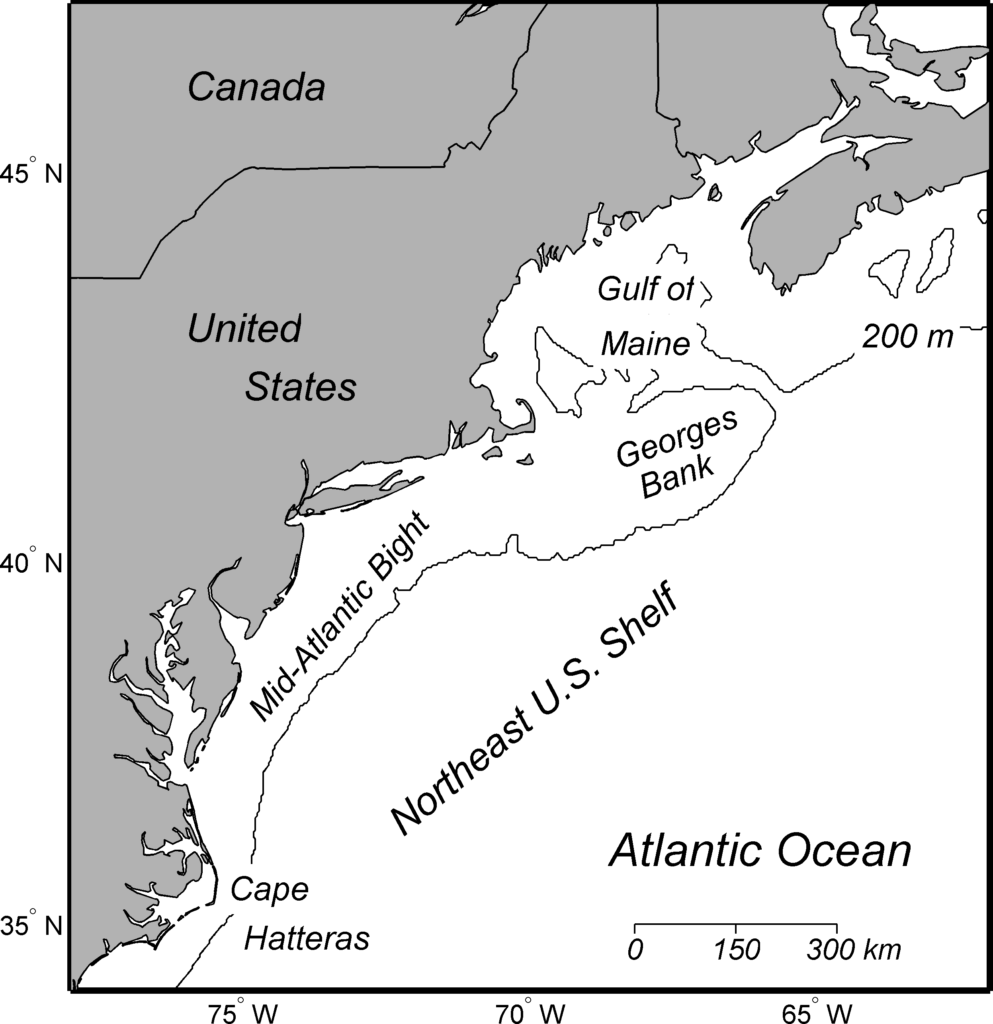 Increasing Warming causes Ecosystem Change along the Northeastern Shelf