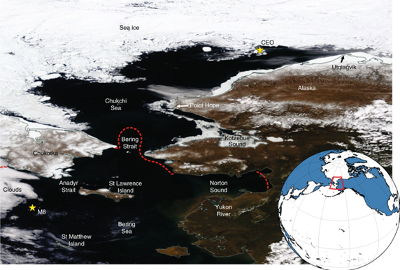 A transforming ecosystem: Chukchi and Bering Sea – oceanbites