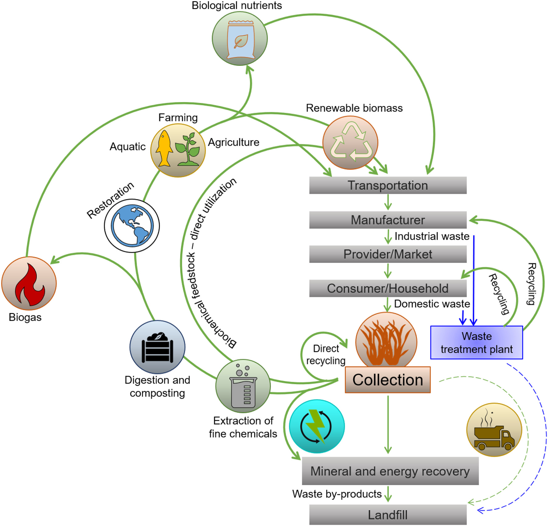 Sargassum An Overlooked Solution oceanbites