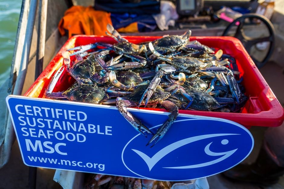 Foodies guide to crab  Marine Stewardship Council