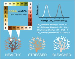 CoralWatch Coral Health Chart used by surveyors created by NOAA.