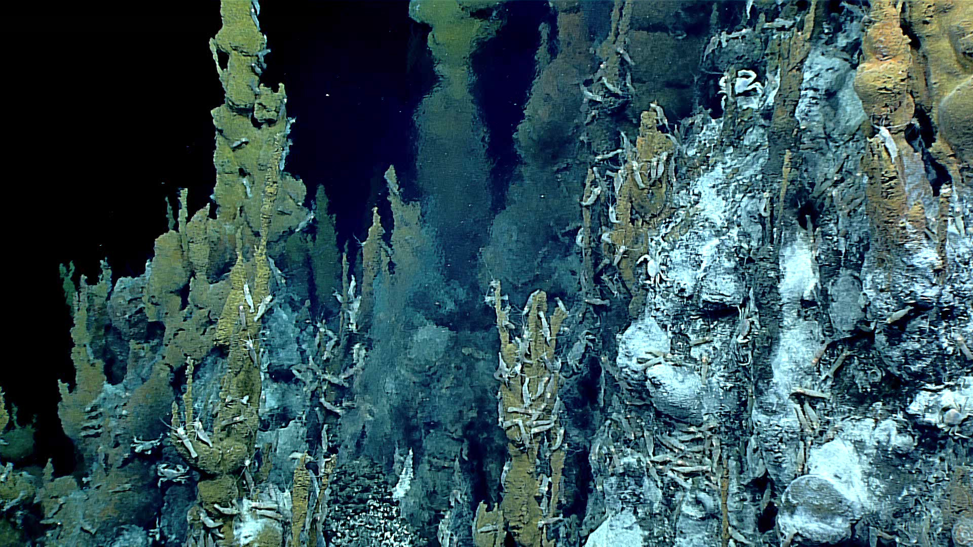 Bacterial Batteries: Deep Sea Hydrothermal Vents Host Electrifying Bacteria