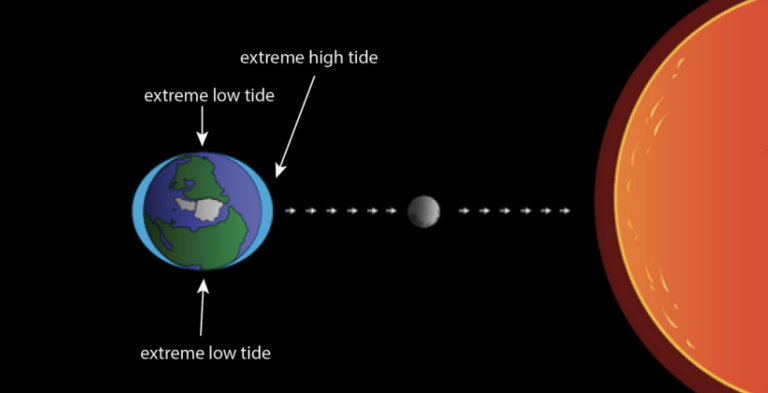 Telling time in the deep sea – oceanbites