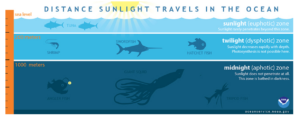 The zones of the ocean are dependent on how much sun light reaches their depth. Credit: NOAA