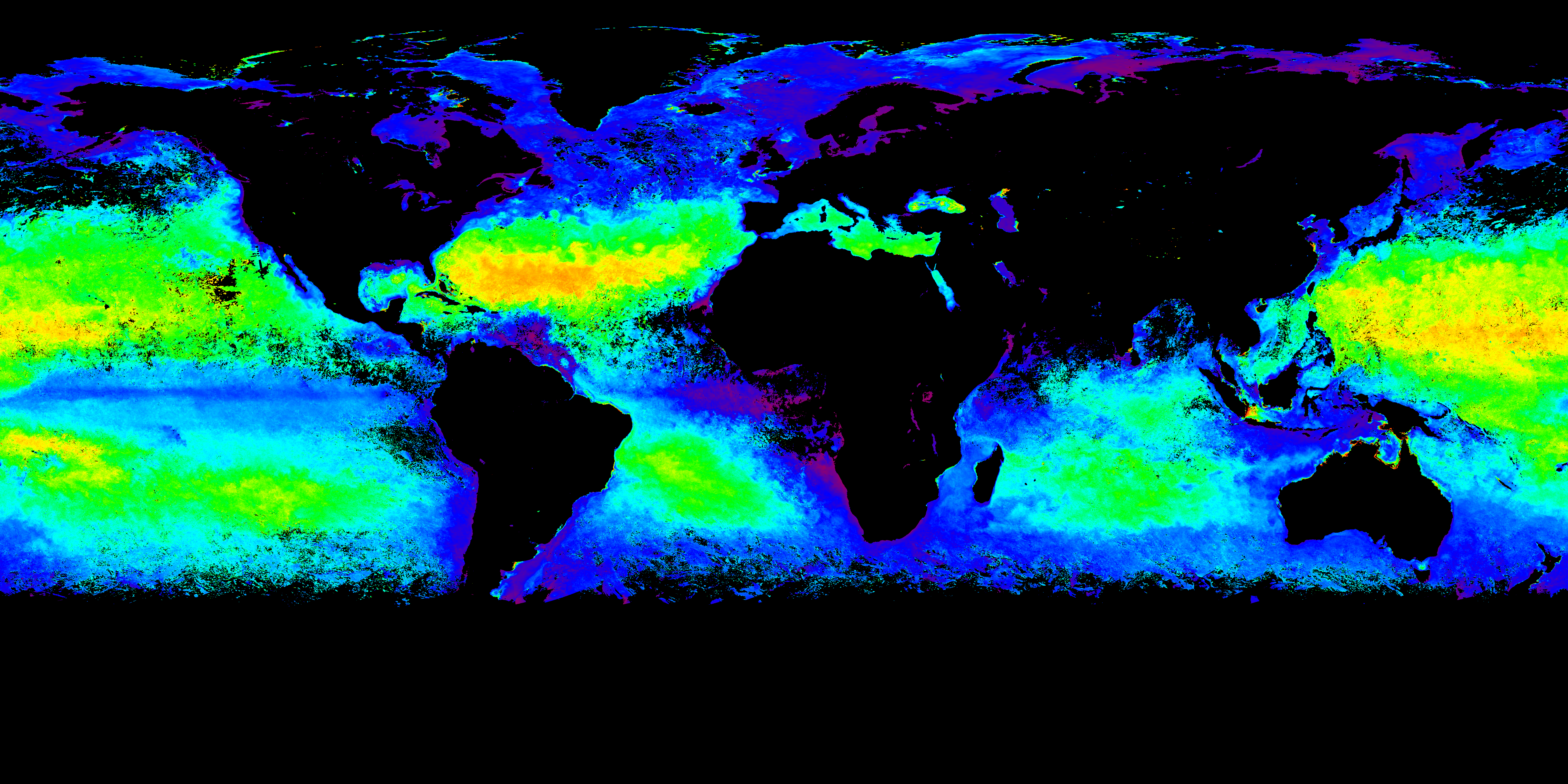 SURFO Special: From outer space to the microscope: How NASA’s satellites are helping us understand the ocean’s smallest life