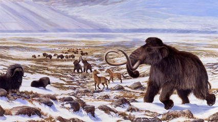 How cold did the ice age really get?