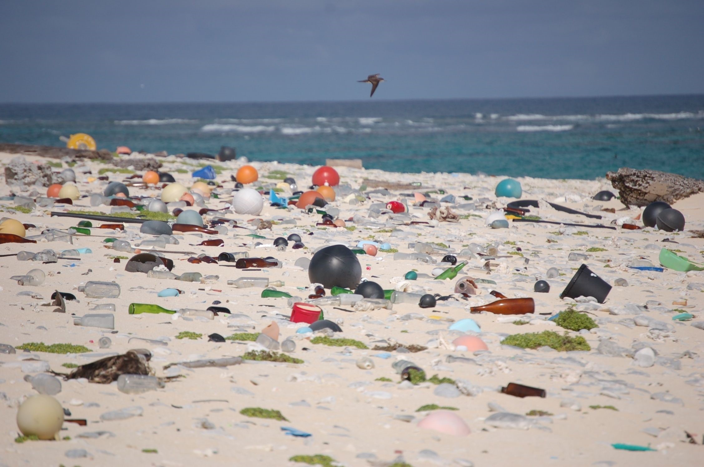 Coastal Erosion and Marine Litter Pollution