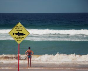 shark warning sign and contemplative swimmer by ocean