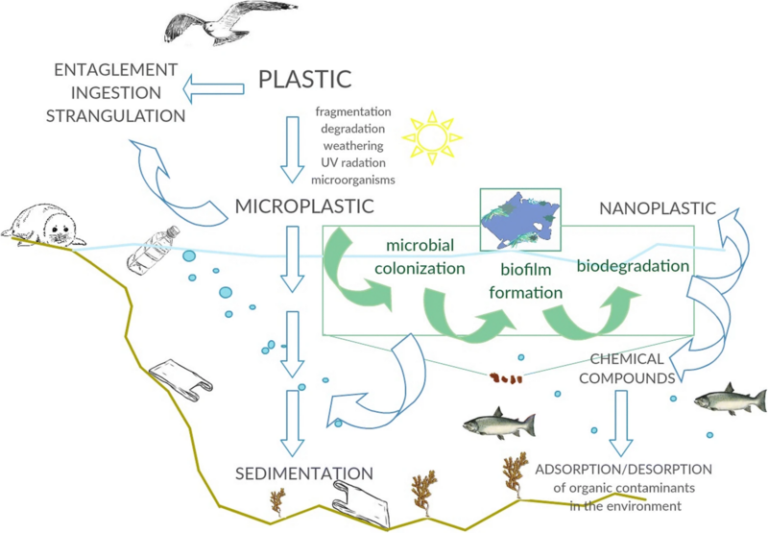 Life in Plastic: 14 Million Tonnes of Microplastics Likely on Sea Floor