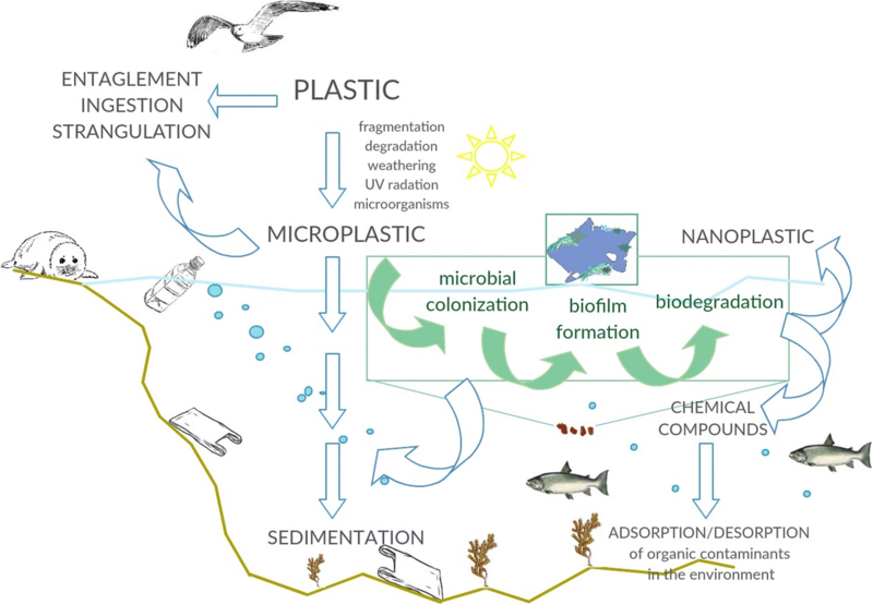 Life In Plastic: 14 Million Tonnes Of Microplastics Likely On Sea Floor ...