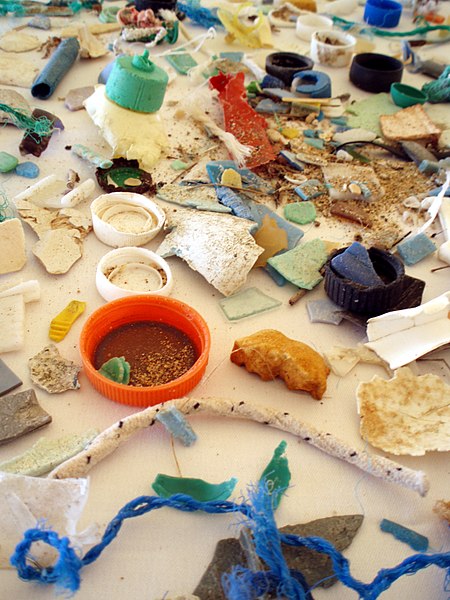 A variety of plastic debris that can be found in the ocean. Some of the pollution items shown are bottle caps, rope, and broken down plastic pieces.