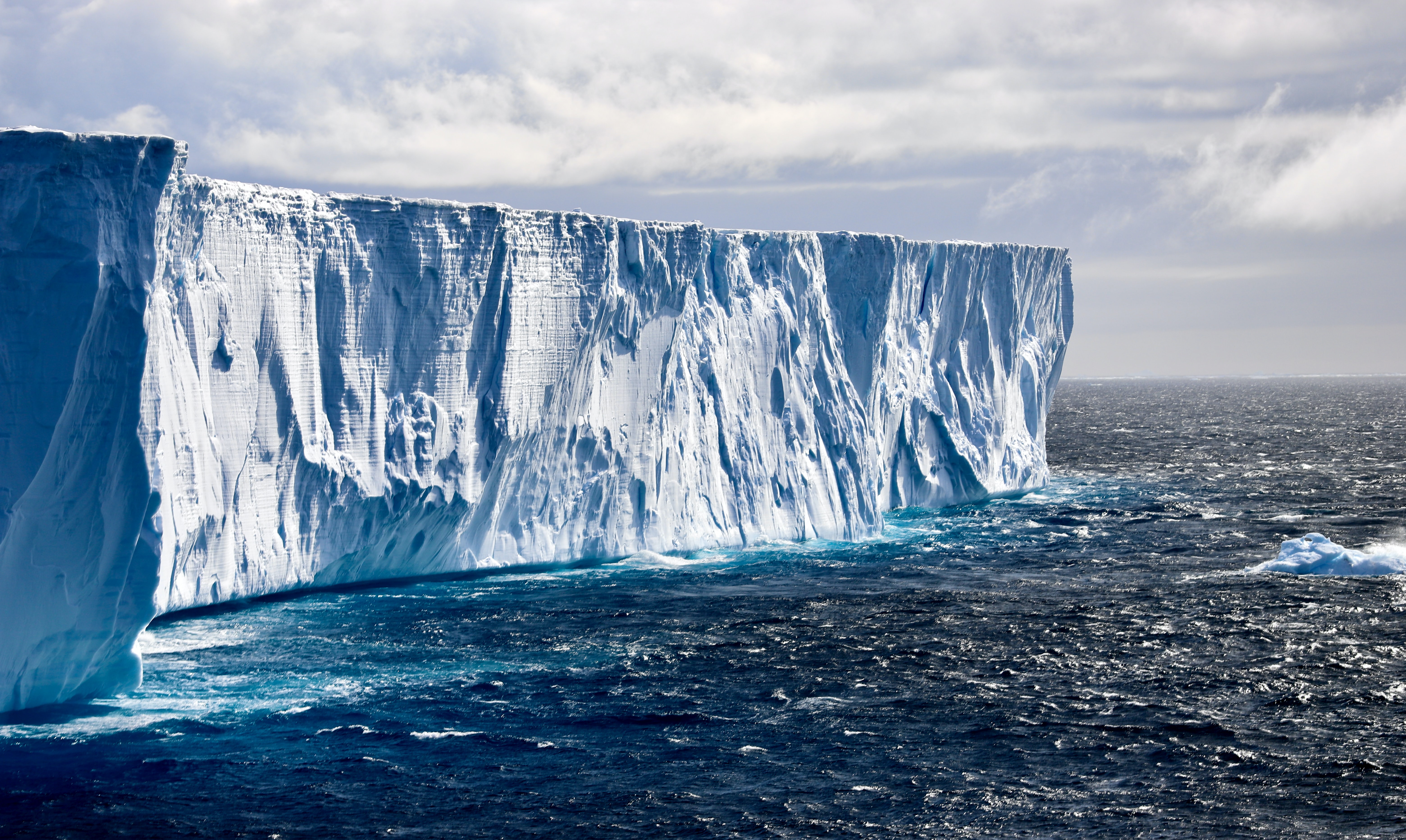 Antarctic Sea Ice Feeds Microbes with a Surprising Ability