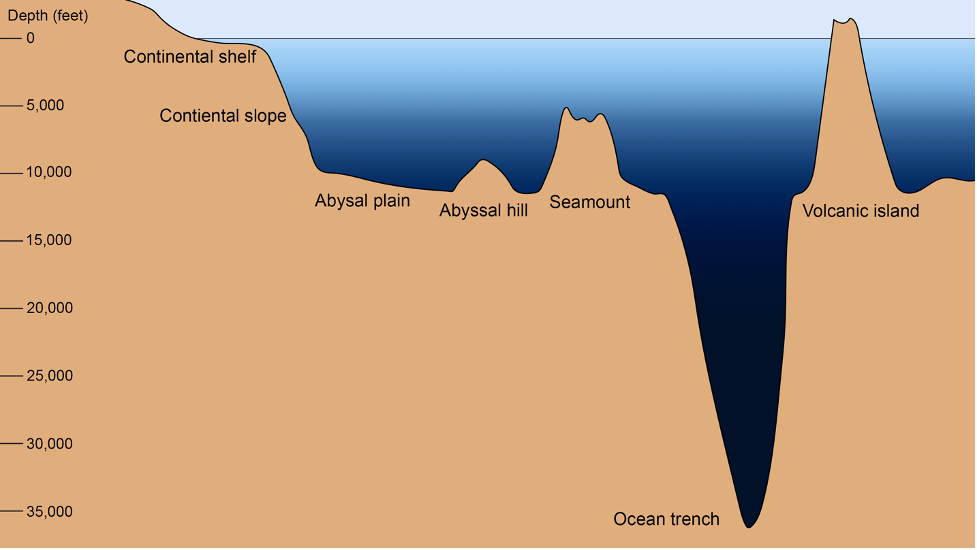 In depth. Ocean depths цвет. Абиссаль океан. Профиль дна. Профиль морского дна.