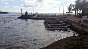 Fishing boats in a harbor