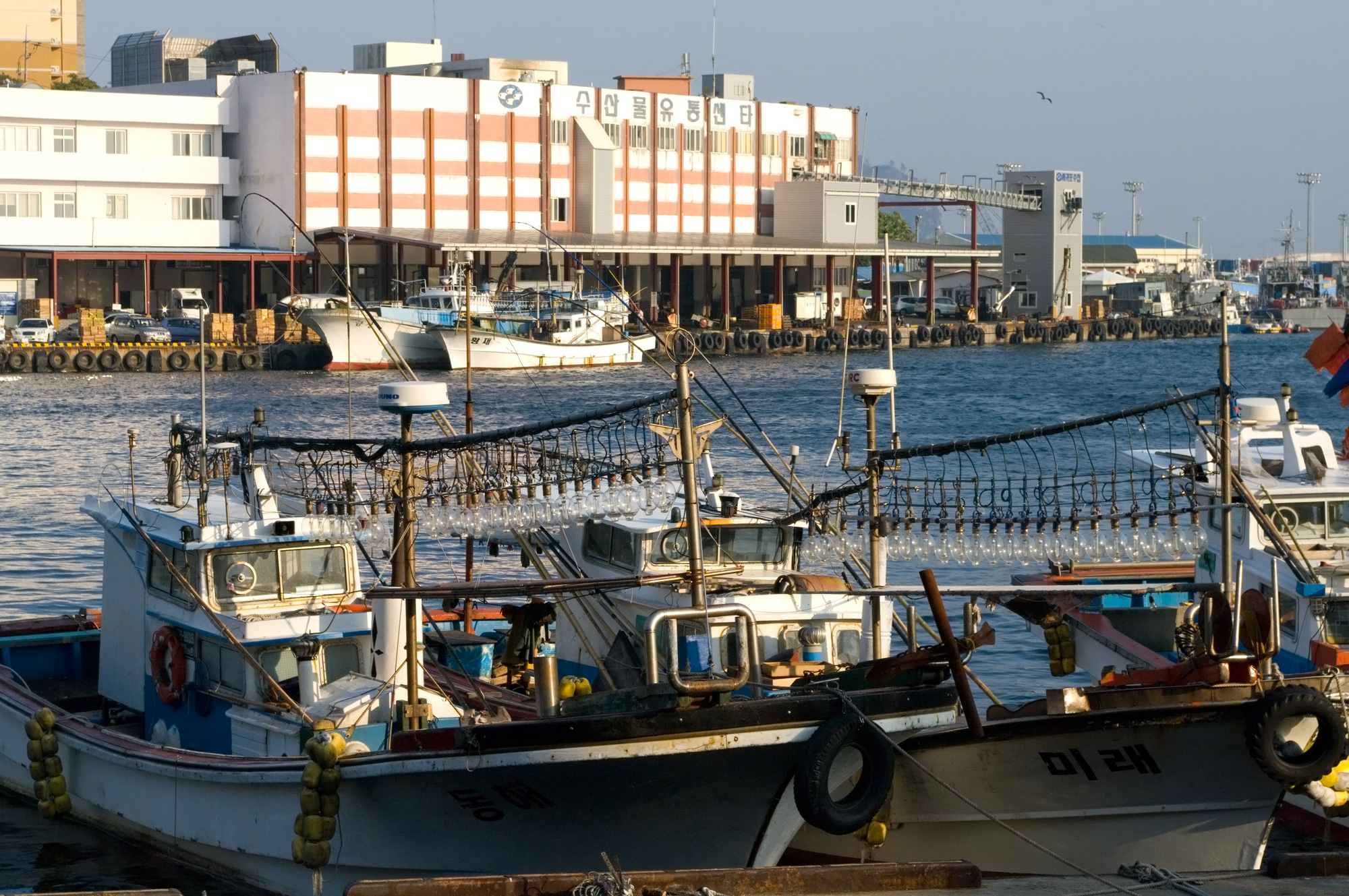 Image of squid jigger boat in Seogwipo City in Jeju. Medium sized vessel is docked with two long lines of electric lamps on deck, these electric lamps are used to attract squid at night. This vessel is similar to the squid jiggers used in the study.