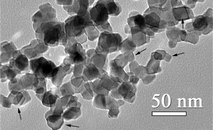 Tiny Human-Engineered Particles Damages Marine Life