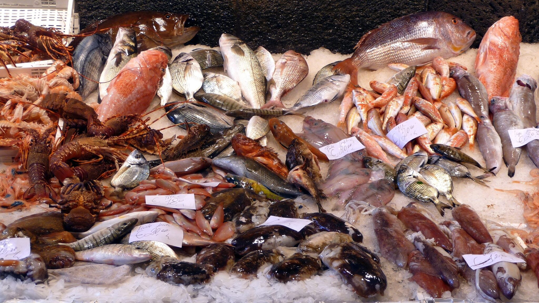 Seafood Fraud: Is that Fish Really a Fish? – oceanbites