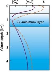 Oxygen Minimum Zones Should we be worried oceanbites