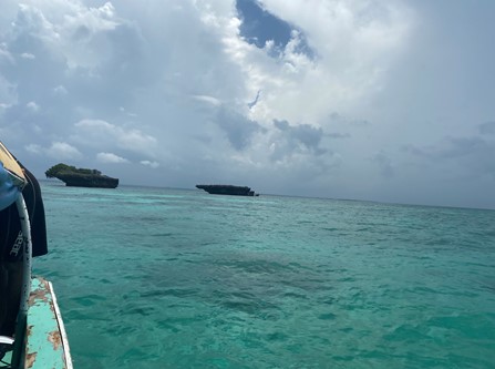 Image looking out at cloudy sky with green clear water below, taken from the deck of a boat near Chumbe Island Coral Park.