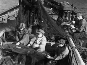 Historic photo of men pulling nets on herring boat