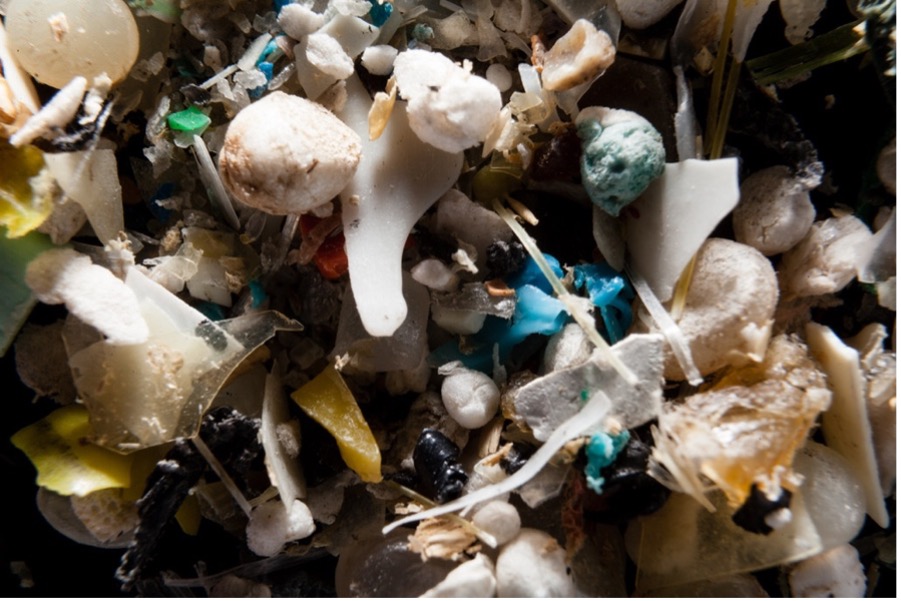 Far reaching microplastics: They may be closer than you think