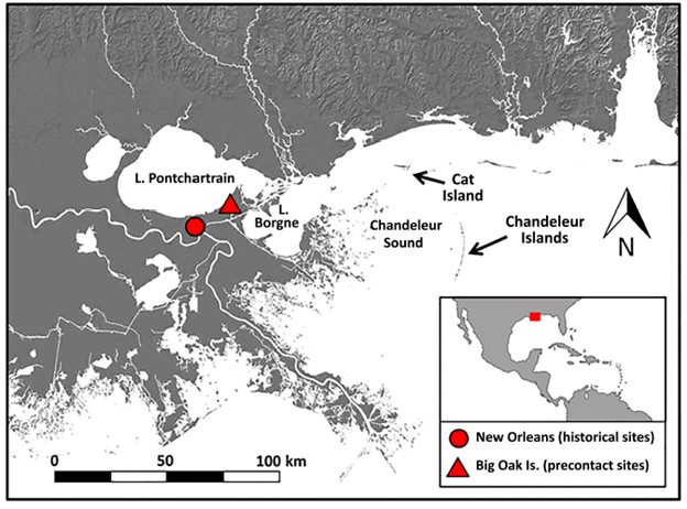 Map of coastline of Lousiana with two sites, the precontact big Oak Island pre-contact site to the east of the historical site of New Orleans