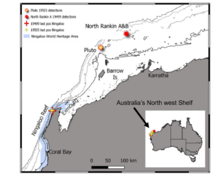 Australia's NWS