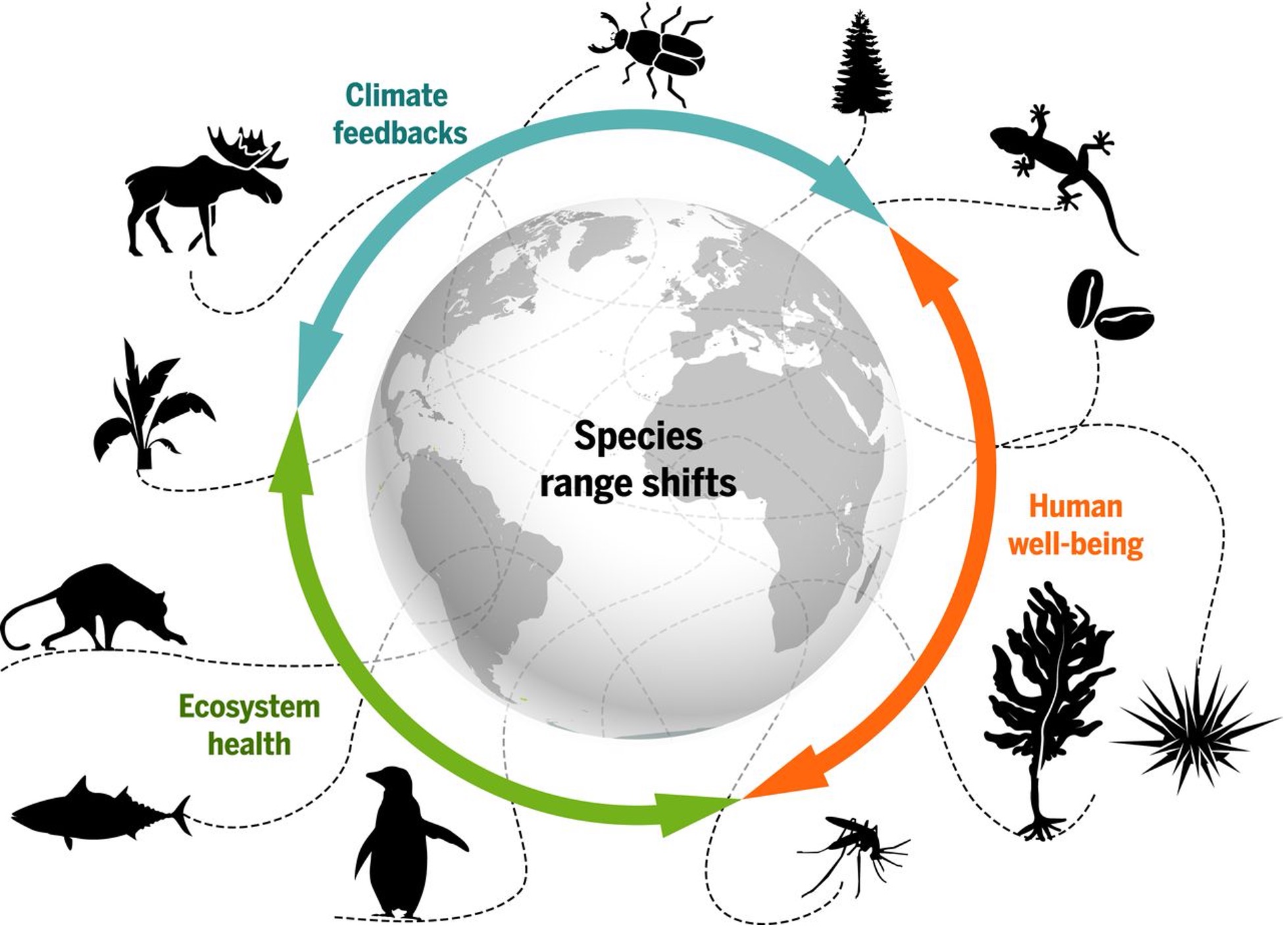 Their range of. Биоразнообразие земли. Биоразнообразие это в экологии. Biodiversity and ecosystem loss. Биоразнообразие и человек.