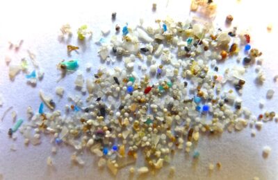 Mitigating microplastic pollution through ballast water treatment