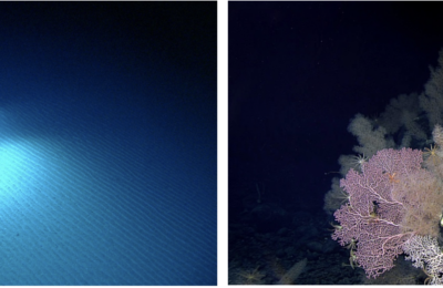 Taking a long, hard look at a classic deep-sea theory