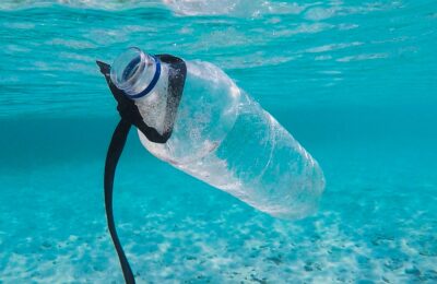Life in plastic: Harmful bacteria and algae may hide in ocean plastic waste