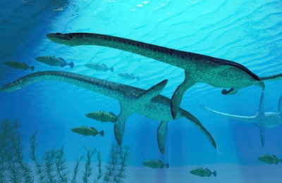 Scientists reveal how marine dinosaurs swam underwater