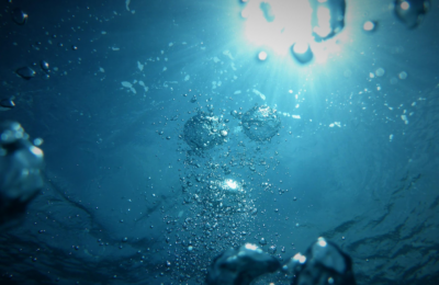 The Deep Sink: micropollutants in the deep sea