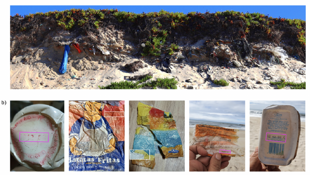 litter in coastal dune