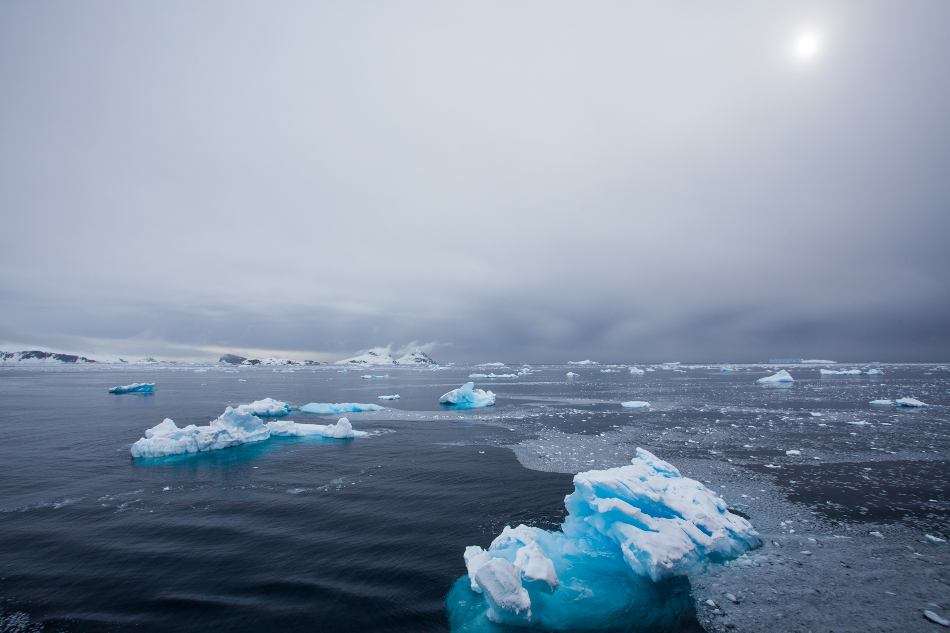 Our changing polar oceans – oceanbites