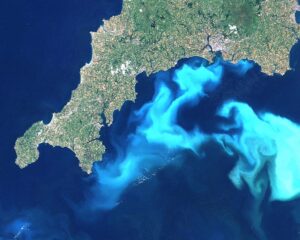 Satellite image of a phytoplankton bloom (Emiliania huxleyi) in the English Channel.