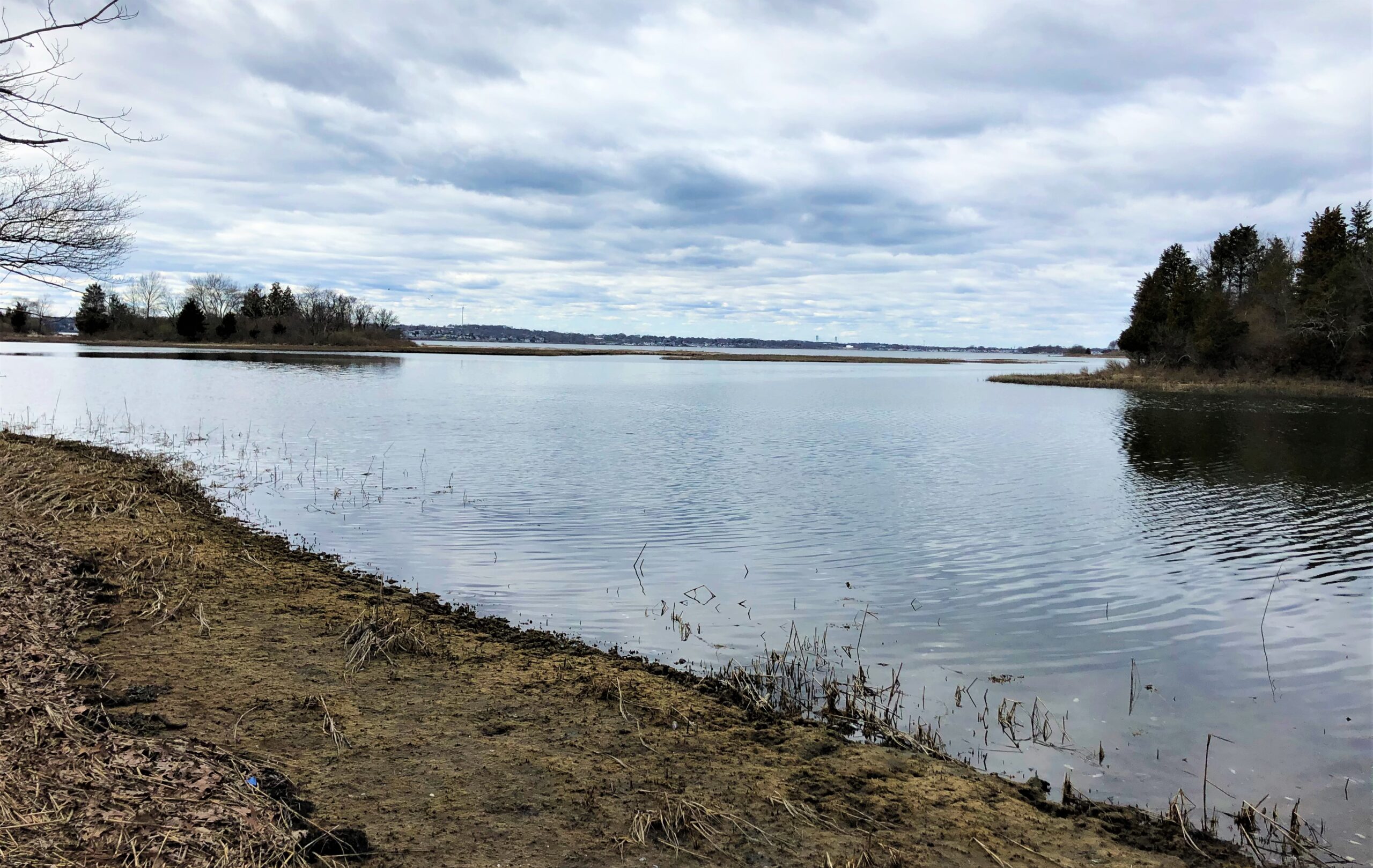 Salt Marshes and Regional Sea Level – oceanbites