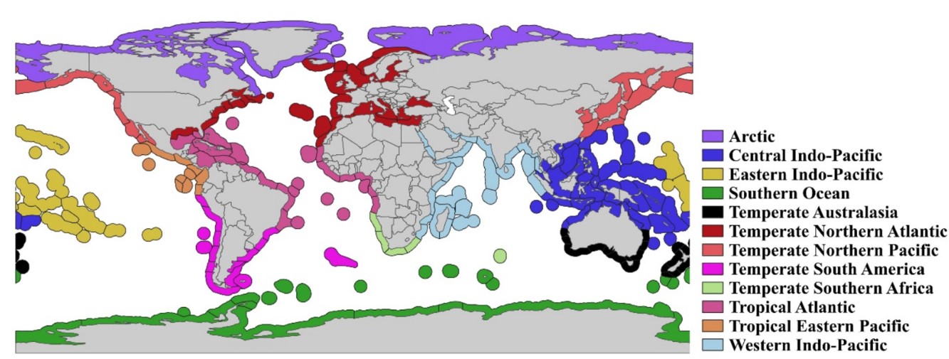 Where the Amphipods Are – oceanbites