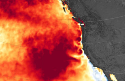 Heatwaves in the Intertidal