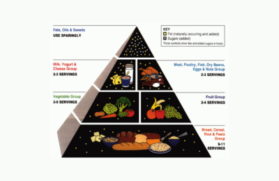 Food Pyramid for Fish