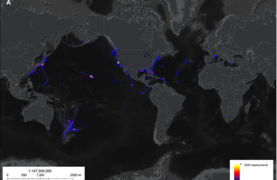 Opening our eyes in the deep, dark ocean