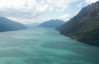 Secret Sharks in a Chilean Fjord